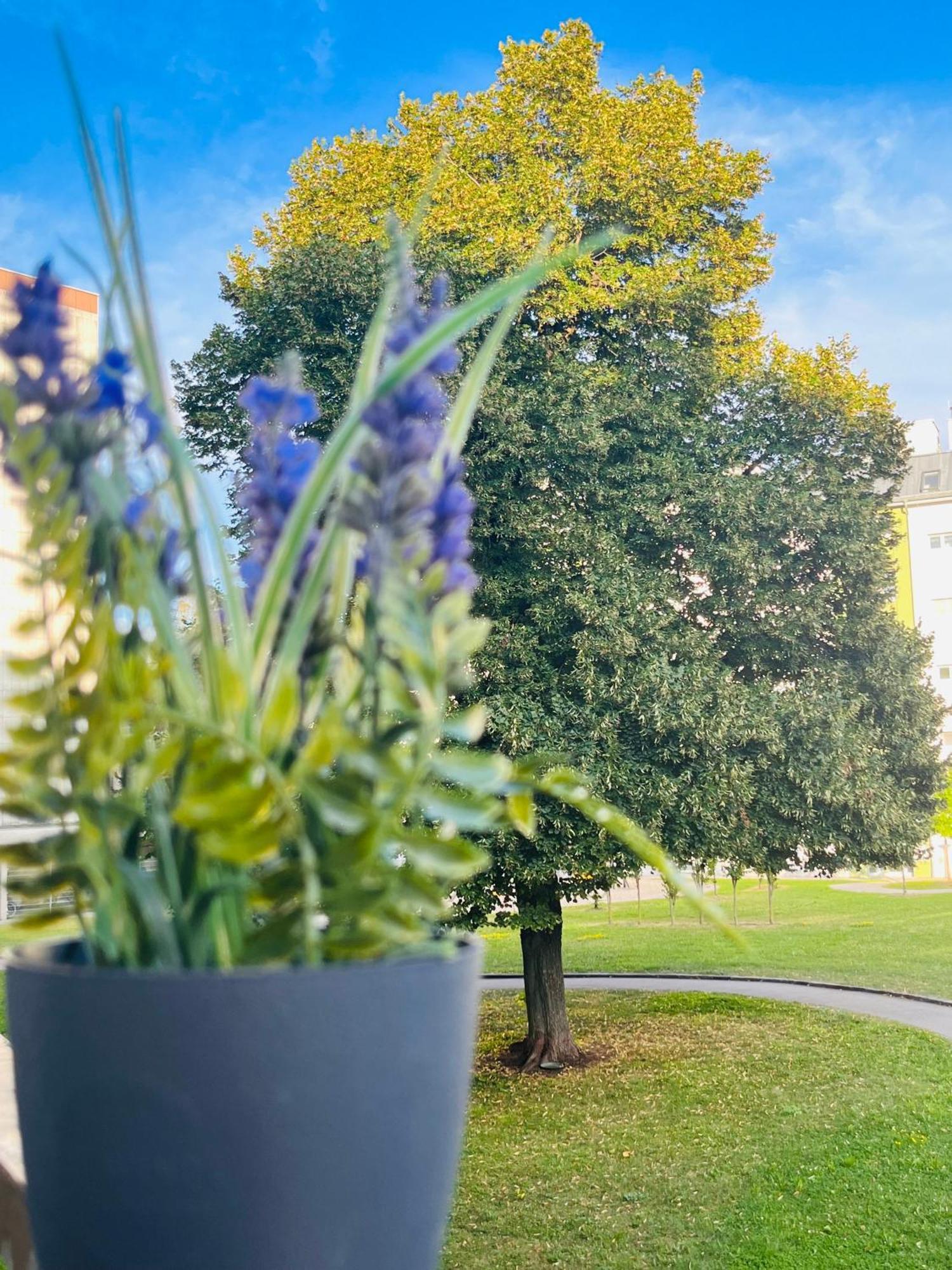 Lavender Home Appart Λιντς Εξωτερικό φωτογραφία